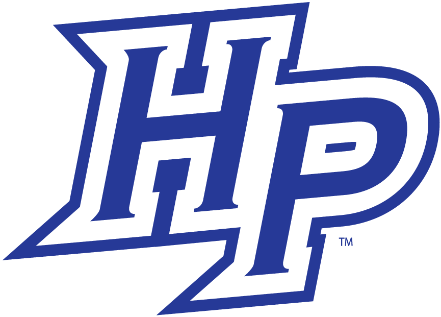 High Point Panthers 2004-2011 Alternate Logo v2 diy fabric transfer